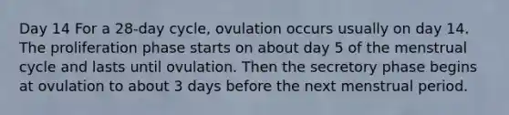 Day 14 For a 28-day cycle, ovulation occurs usually on day 14. The proliferation phase starts on about day 5 of the menstrual cycle and lasts until ovulation. Then the secretory phase begins at ovulation to about 3 days before the next menstrual period.