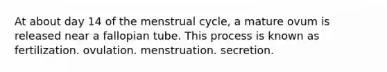 At about day 14 of the menstrual cycle, a mature ovum is released near a fallopian tube. This process is known as fertilization. ovulation. menstruation. secretion.