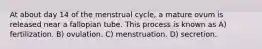 At about day 14 of the menstrual cycle, a mature ovum is released near a fallopian tube. This process is known as A) fertilization. B) ovulation. C) menstruation. D) secretion.