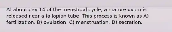 At about day 14 of the menstrual cycle, a mature ovum is released near a fallopian tube. This process is known as A) fertilization. B) ovulation. C) menstruation. D) secretion.