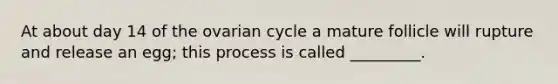 At about day 14 of the ovarian cycle a mature follicle will rupture and release an egg; this process is called _________.