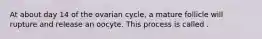 At about day 14 of the ovarian cycle, a mature follicle will rupture and release an oocyte. This process is called .