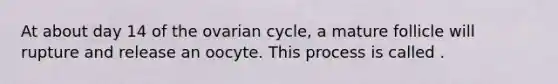 At about day 14 of the ovarian cycle, a mature follicle will rupture and release an oocyte. This process is called .