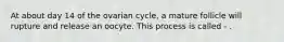 At about day 14 of the ovarian cycle, a mature follicle will rupture and release an oocyte. This process is called - .