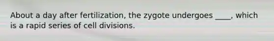 About a day after fertilization, the zygote undergoes ____, which is a rapid series of <a href='https://www.questionai.com/knowledge/kjHVAH8Me4-cell-division' class='anchor-knowledge'>cell division</a>s.