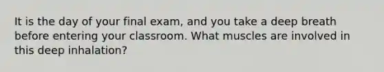 It is the day of your final exam, and you take a deep breath before entering your classroom. What muscles are involved in this deep inhalation?