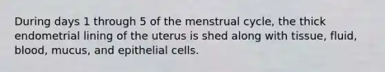 During days 1 through 5 of the menstrual cycle, the thick endometrial lining of the uterus is shed along with tissue, fluid, blood, mucus, and epithelial cells.