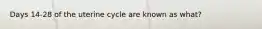 Days 14-28 of the uterine cycle are known as what?