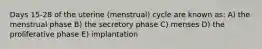 Days 15-28 of the uterine (menstrual) cycle are known as: A) the menstrual phase B) the secretory phase C) menses D) the proliferative phase E) implantation