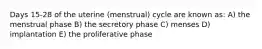 Days 15-28 of the uterine (menstrual) cycle are known as: A) the menstrual phase B) the secretory phase C) menses D) implantation E) the proliferative phase