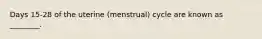 Days 15-28 of the uterine (menstrual) cycle are known as ________.