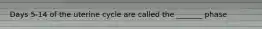 Days 5-14 of the uterine cycle are called the _______ phase