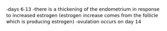 -days 6-13 -there is a thickening of the endometrium in response to increased estrogen (estrogen increase comes from the follicle which is producing estrogen) -ovulation occurs on day 14