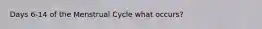 Days 6-14 of the Menstrual Cycle what occurs?