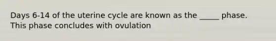 Days 6-14 of the uterine cycle are known as the _____ phase. This phase concludes with ovulation