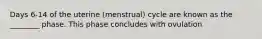 Days 6-14 of the uterine (menstrual) cycle are known as the ________ phase. This phase concludes with ovulation