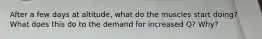 After a few days at altitude, what do the muscles start doing? What does this do to the demand for increased Q? Why?