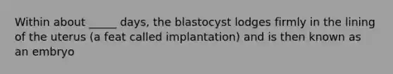 Within about _____ days, the blastocyst lodges firmly in the lining of the uterus (a feat called implantation) and is then known as an embryo