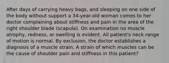 After days of carrying heavy bags, and sleeping on one side of the body without support a 34-year-old woman comes to her doctor complaining about stiffness and pain in the area of the right shoulder blade (scapula). On examination no muscle atrophy, redness, or swelling is evident. All patient's neck range of motion is normal. By exclusion, the doctor establishes a diagnosis of a muscle strain. A strain of which muscles can be the cause of shoulder pain and stiffness in this patient?