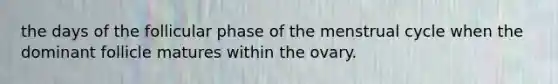 the days of the follicular phase of the menstrual cycle when the dominant follicle matures within the ovary.