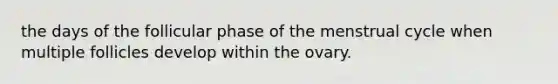the days of the follicular phase of the menstrual cycle when multiple follicles develop within the ovary.