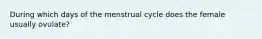 During which days of the menstrual cycle does the female usually ovulate?