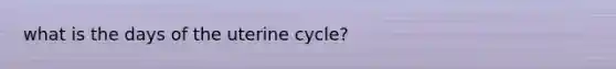 what is the days of the uterine cycle?