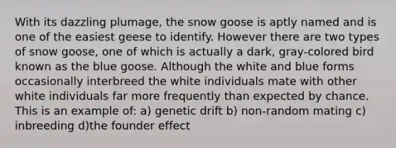 With its dazzling plumage, the snow goose is aptly named and is one of the easiest geese to identify. However there are two types of snow goose, one of which is actually a dark, gray-colored bird known as the blue goose. Although the white and blue forms occasionally interbreed the white individuals mate with other white individuals far more frequently than expected by chance. This is an example of: a) genetic drift b) non-random mating c) inbreeding d)the founder effect