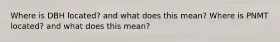 Where is DBH located? and what does this mean? Where is PNMT located? and what does this mean?