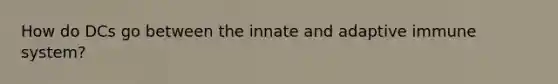 How do DCs go between the innate and adaptive immune system?