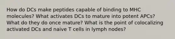 How do DCs make peptides capable of binding to MHC molecules? What activates DCs to mature into potent APCs? What do they do once mature? What is the point of colocalizing activated DCs and naive T cells in lymph nodes?