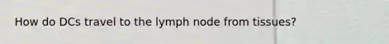 How do DCs travel to the lymph node from tissues?