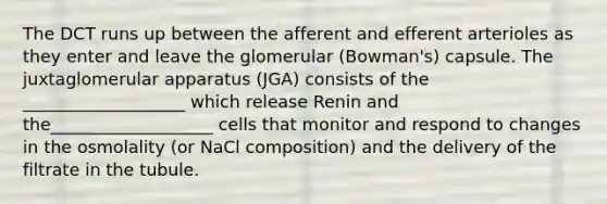 The DCT runs up between the afferent and efferent arterioles as they enter and leave the glomerular (Bowman's) capsule. The juxtaglomerular apparatus (JGA) consists of the ___________________ which release Renin and the___________________ cells that monitor and respond to changes in the osmolality (or NaCl composition) and the delivery of the filtrate in the tubule.