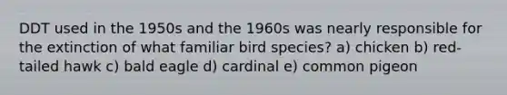 DDT used in the 1950s and the 1960s was nearly responsible for the extinction of what familiar bird species? a) chicken b) red-tailed hawk c) bald eagle d) cardinal e) common pigeon