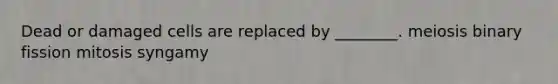 Dead or damaged cells are replaced by ________. meiosis binary fission mitosis syngamy