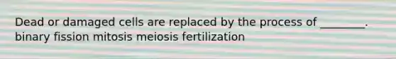 Dead or damaged cells are replaced by the process of ________. binary fission mitosis meiosis fertilization