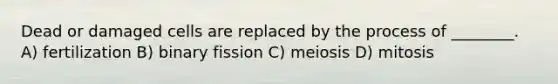 Dead or damaged cells are replaced by the process of ________. A) fertilization B) binary fission C) meiosis D) mitosis