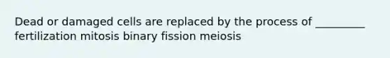 Dead or damaged cells are replaced by the process of _________ fertilization mitosis binary fission meiosis