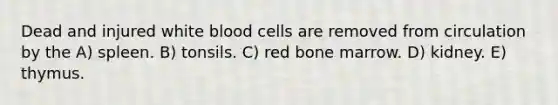 Dead and injured white blood cells are removed from circulation by the A) spleen. B) tonsils. C) red bone marrow. D) kidney. E) thymus.