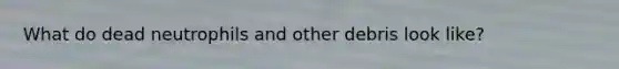 What do dead neutrophils and other debris look like?