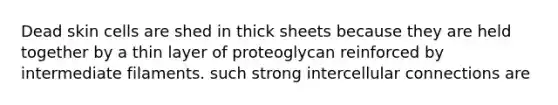 Dead skin cells are shed in thick sheets because they are held together by a thin layer of proteoglycan reinforced by intermediate filaments. such strong intercellular connections are