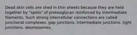 Dead skin cells are shed in thin sheets because they are held together by "spots" of proteoglycan reinforced by intermediate filaments. Such strong intercellular connections are called junctional complexes. gap junctions. intermediate junctions. tight junctions. desmosomes.