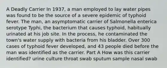 A Deadly Carrier In 1937, a man employed to lay water pipes was found to be the source of a severe epidemic of typhoid fever. The man, an asymptomatic carrier of Salmonella enterica serotype Typhi, the bacterium that causes typhoid, habitually urinated at his job site. In the process, he contaminated the town's water supply with bacteria from his bladder. Over 300 cases of typhoid fever developed, and 43 people died before the man was identified as the carrier. Part A How was this carrier identified? urine culture throat swab sputum sample nasal swab