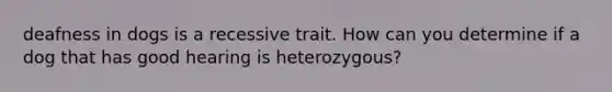 deafness in dogs is a recessive trait. How can you determine if a dog that has good hearing is heterozygous?