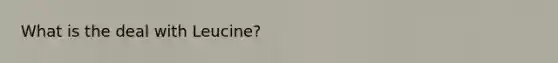 What is the deal with Leucine?