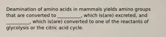 Deamination of amino acids in mammals yields amino groups that are converted to __________, which is(are) excreted, and __________, which is(are) converted to one of the reactants of glycolysis or the citric acid cycle.