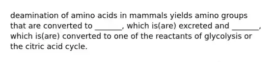 deamination of amino acids in mammals yields amino groups that are converted to _______, which is(are) excreted and _______, which is(are) converted to one of the reactants of glycolysis or the citric acid cycle.