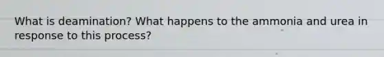 What is deamination? What happens to the ammonia and urea in response to this process?