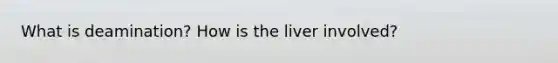 What is deamination? How is the liver involved?