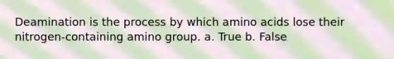 Deamination is the process by which amino acids lose their nitrogen-containing amino group. a. True b. False